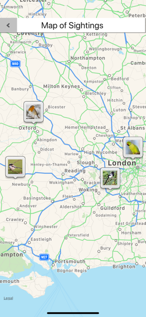 Birds of Britain Lite(圖8)-速報App