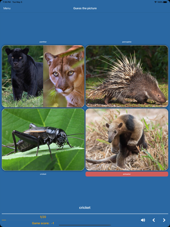 Screenshot #5 pour Jeux d'images Word Pro