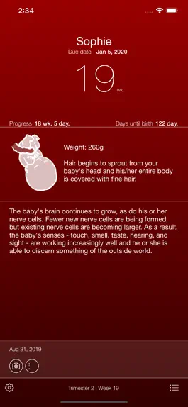 Game screenshot Pregnancy App apk