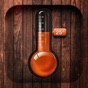 Digital Thermometer app app download
