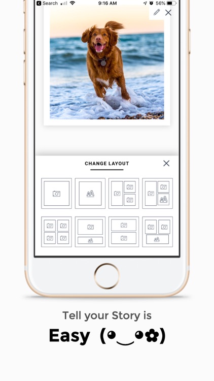 Tipii' Photo Book by MSB