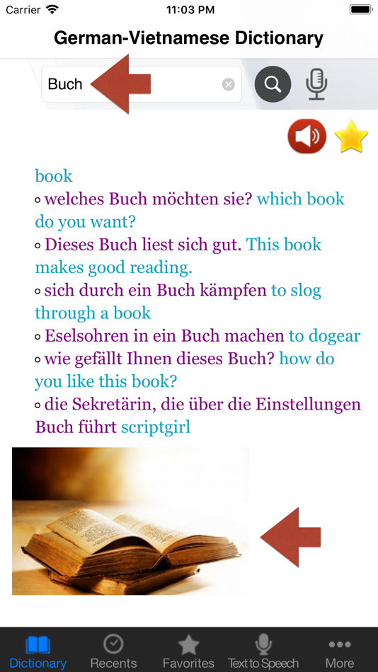 #5. German-Vietnamese Dictionary (iOS) 由: Ngo Bien