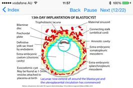 Game screenshot Embryology Lectures apk