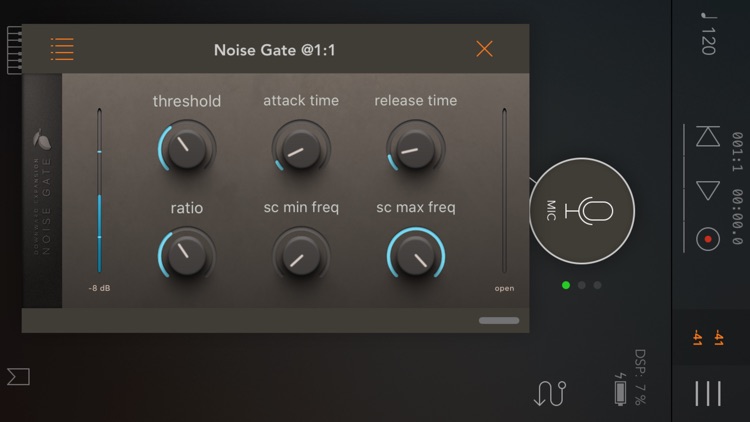 Noise Gate & Downward Expander