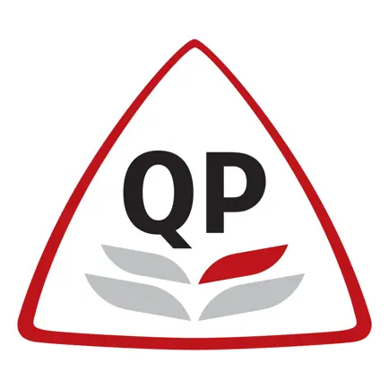 QP Learning Читы