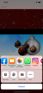 Merry Christmas Greeting Video screenshot 3