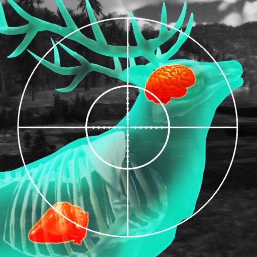 Wild Hunt: Deer Hunting Games
