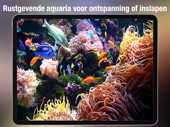 Aquarium Live HD + iPad app afbeelding 2