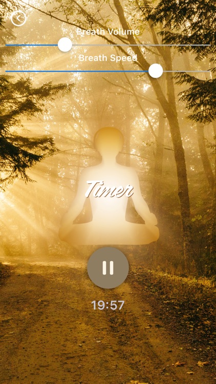 Healing Breathwork Meditation screenshot-3