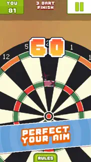 cobi darts iphone screenshot 3