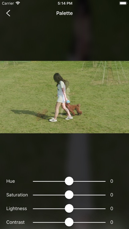 Video FX Art screenshot-9