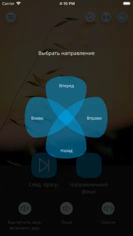 Game screenshot WIDEX TONELINK apk