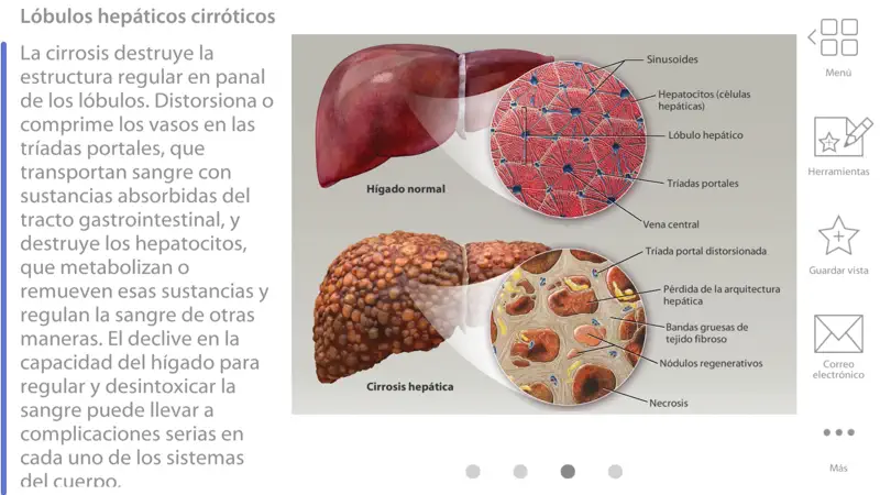 Fisiología & Patología screenshot 10 of 10