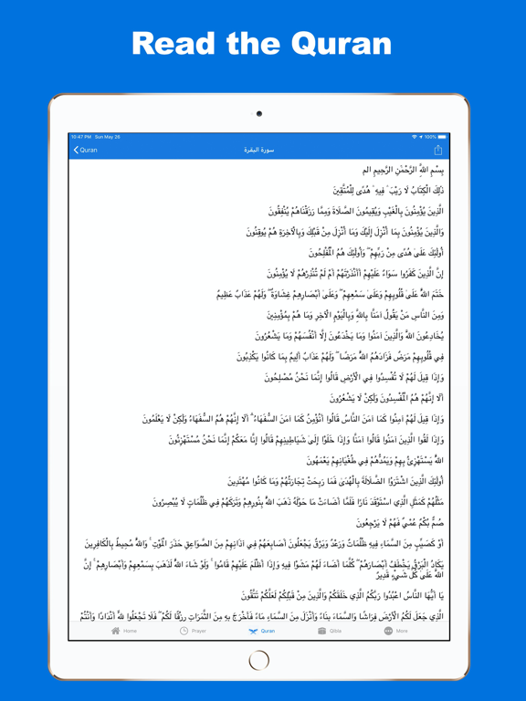 Muslim - Quran, Prayers, More iPad screenshot 5 - Reference app