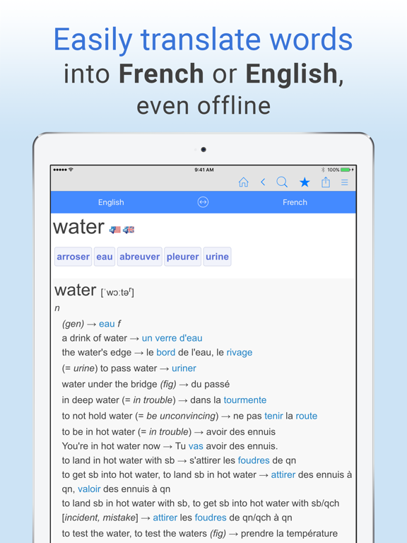 Screenshot #4 pour English-French Dictionary.