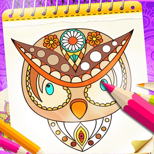 Coloring Book Number Color Art