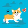 Cute Corgi Animated Emojis delete, cancel