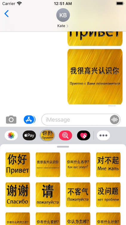 Chinese Russian Sticker screenshot-3