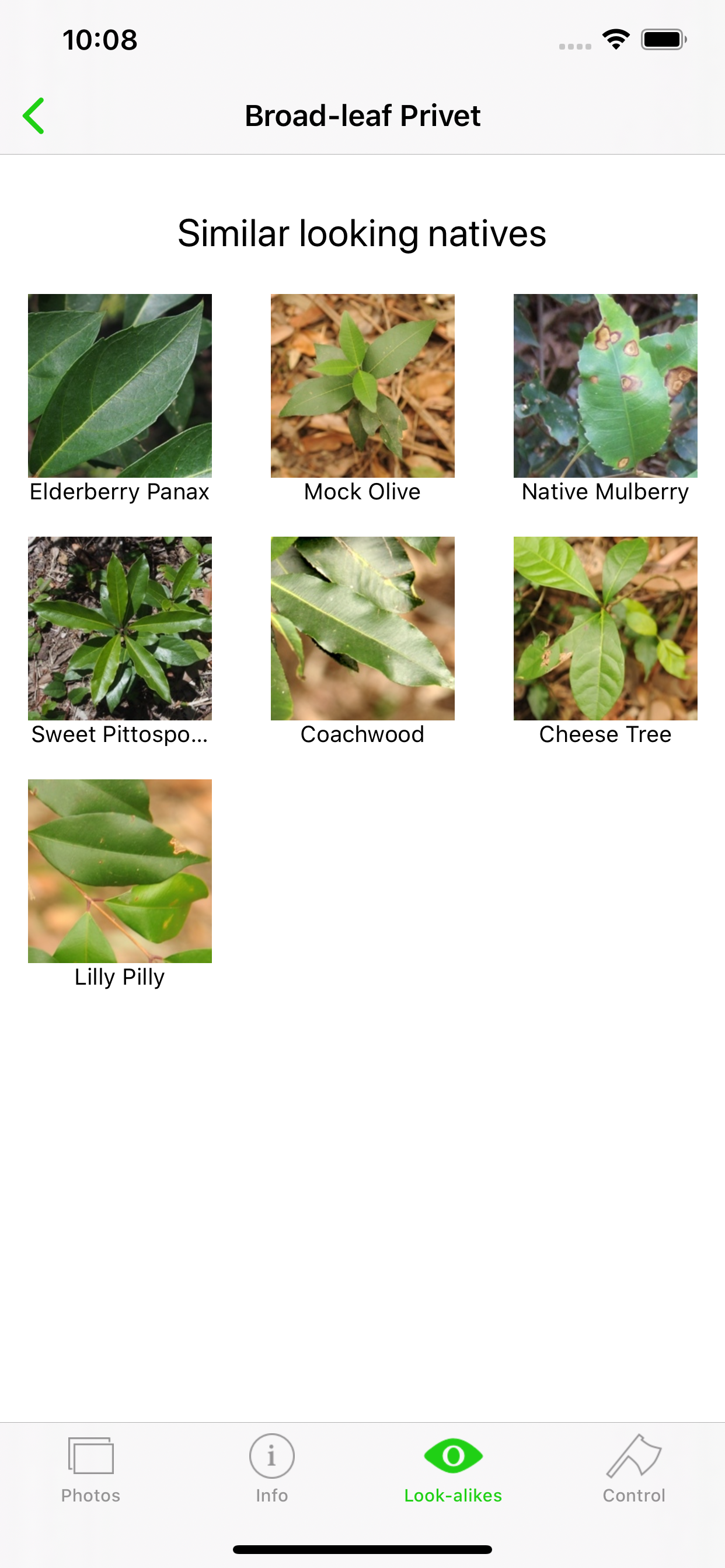 Environmental Weeds of Sydney