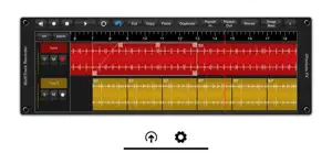 MultiTrack Recorder Plugin screenshot #3 for iPhone