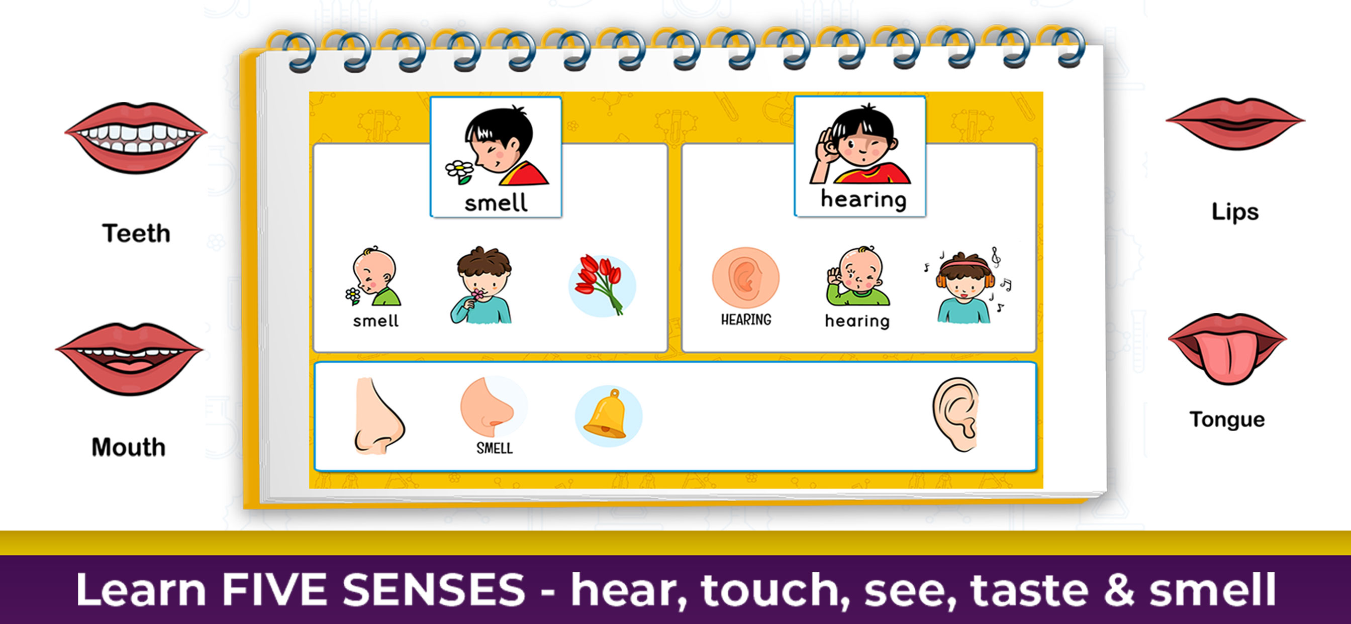 Science Learning Games screenshot 9