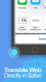 Translate - Translator Browser screenshot