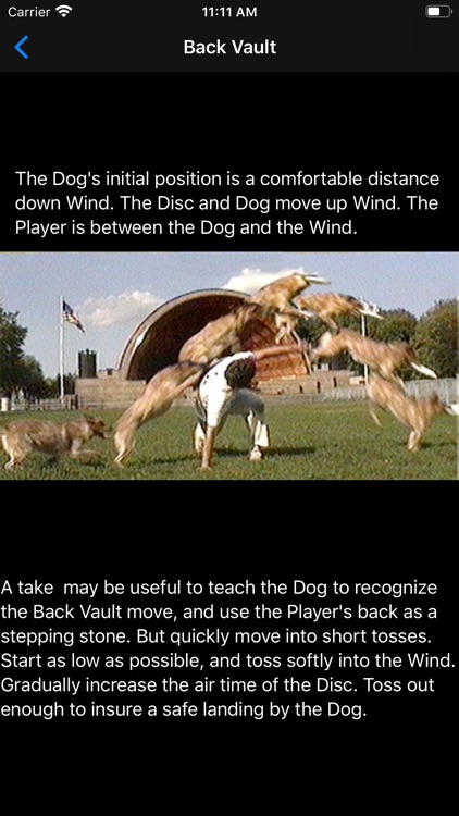 Dog, Disc, and Wind screenshot-6