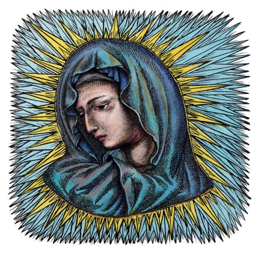 Notre Dame - Fiat Lux