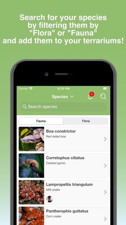 Terrarium Vitae screenshot-3