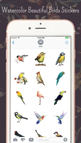 Game screenshot The Watercolor Birds hack