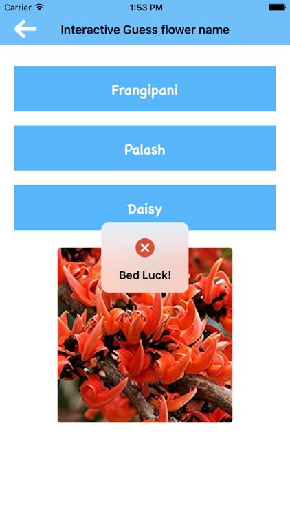 Interactive Guess flower name screenshot-8