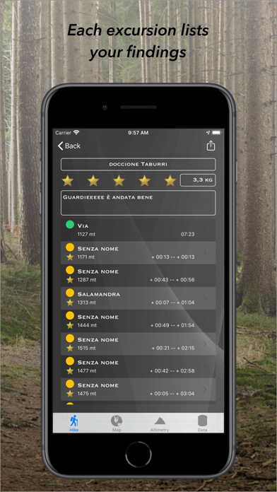 aFunghi Screenshot