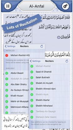 Quran Explorer screenshot 4