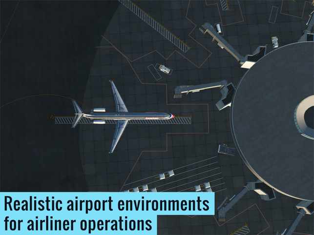 ?X-Plane Flight Simulator Screenshot