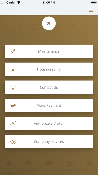 Manzel Express screenshot
