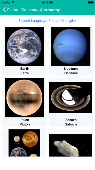 Screenshot #2 pour Dictionary with pictures