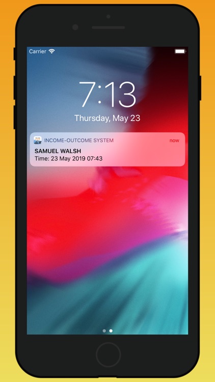 Income-Outcome System screenshot-9