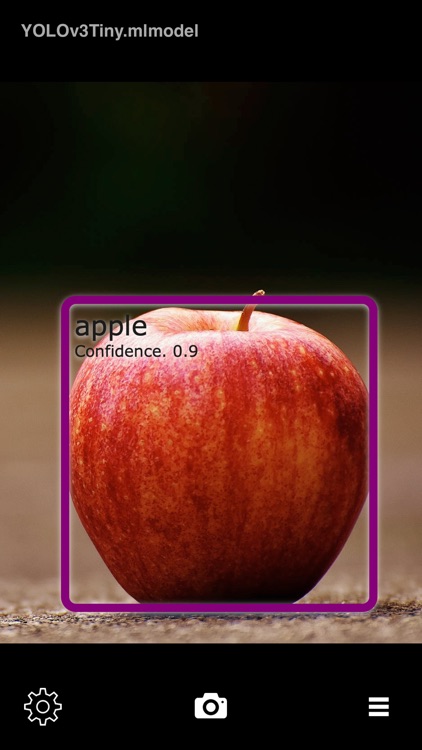 Object Detection Cam screenshot-3