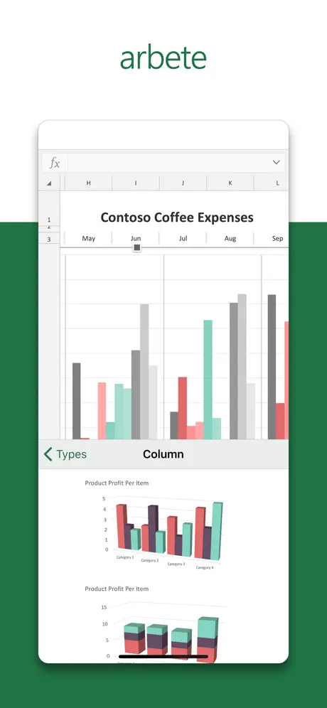 Microsoft Excel