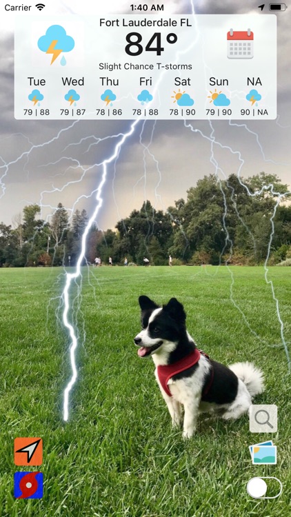 NOAA Weather Radar Puppy