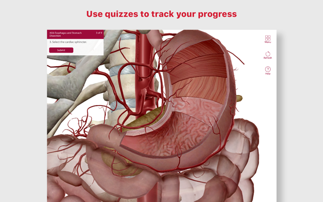 ‎Anatomy & Physiology Screenshot