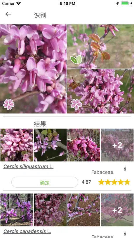 植物识别 PlantNet