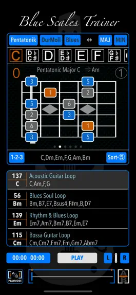 Game screenshot BlueScalesTrainer mod apk