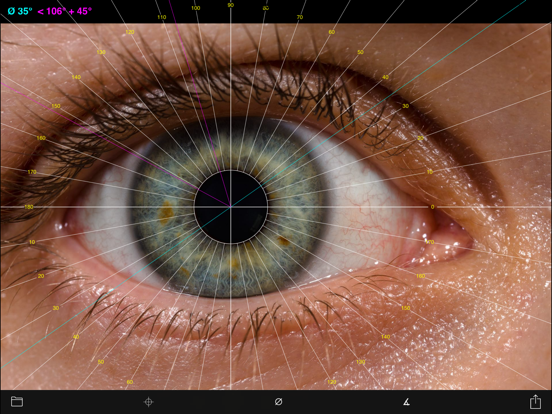 Screenshot #4 pour Goniotrans Pro