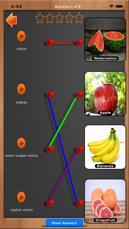 Learn DL Woodland Cree screenshot-5