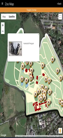 Game screenshot Welsh Mountain Zoo Guide hack