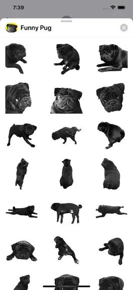 Game screenshot Funny Pug hack