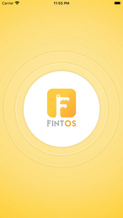 Fintos Screenshot