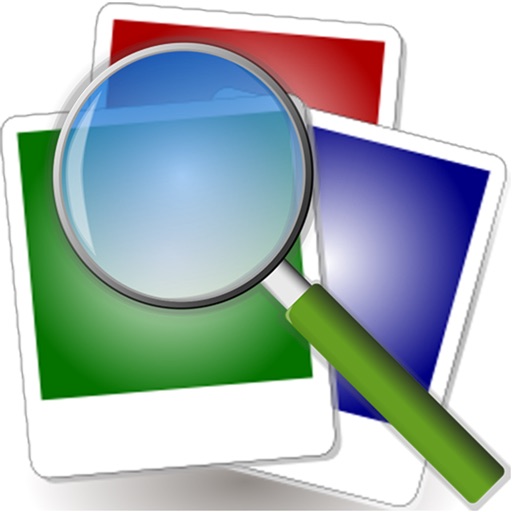 Image Web Search Icon