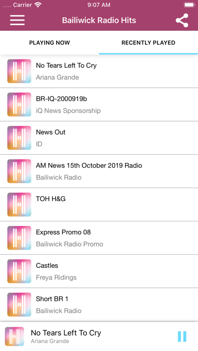 Screenshot #2 pour Bailiwick Radio Hits